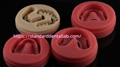 Standard Dental Lab Co., Limited 제조업체의 생산 라인