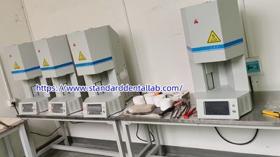 Standard Dental Lab Co., Limited 제조업체의 생산 라인