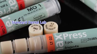 Standard Dental Lab Co., Limited 제조업체의 생산 라인