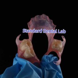 Standard Dental Lab Co., Limited 제조업체의 생산 라인