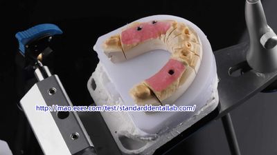 Standard Dental Lab Co., Limited 제조업체의 생산 라인