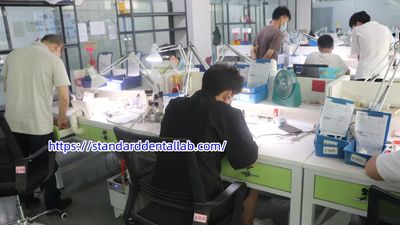 Standard Dental Lab Co., Limited 제조업체의 생산 라인