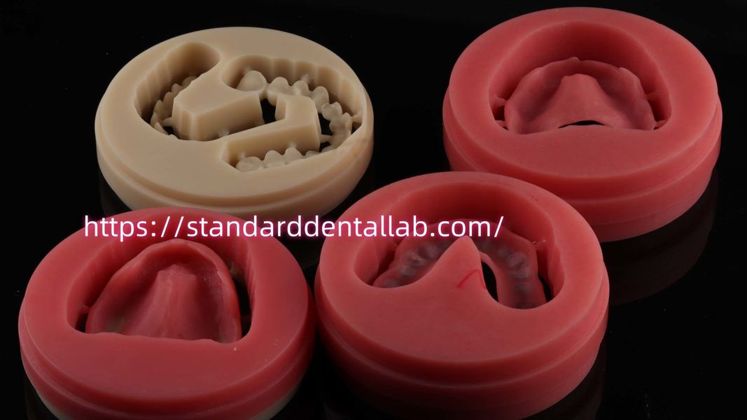 Standard Dental Lab Co., Limited 제조업체의 생산 라인