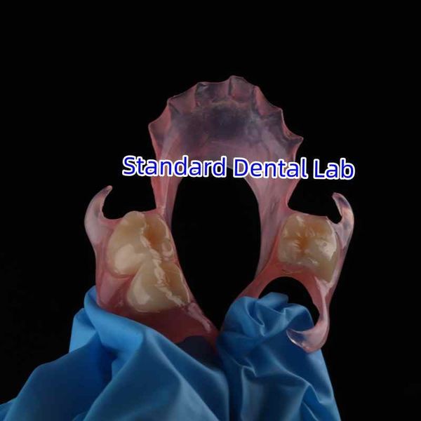 Standard Dental Lab Co., Limited 제조업체의 생산 라인