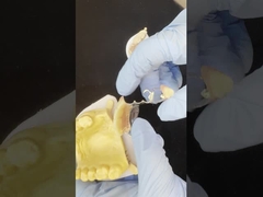 매우 좋은 스티커와 함께 사용자 정의 가능한 코발트 크롬 가스트 프레임