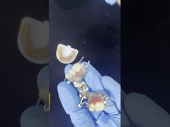 매우 좋은 스티커와 함께 사용자 정의 가능한 코발트 크롬 가스트 프레임