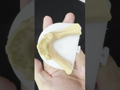 금속 합금 부분 코발트 크롬 치아 Ivoclar Scheftner 편안한 금속 프레임