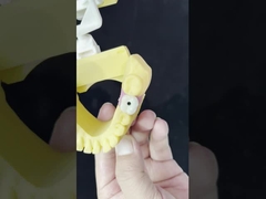 포르셀라인 4면 다리 지르코니아 다리 높은 미용 치아 임플란트 다리 스크루 유지