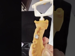 전체 컨투르 지르코니아 왕관/고도 미적 자연 맞춤형 에이디트 지르코니아 치아 다리